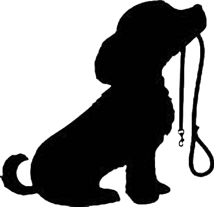 432x416 Dog Training Class