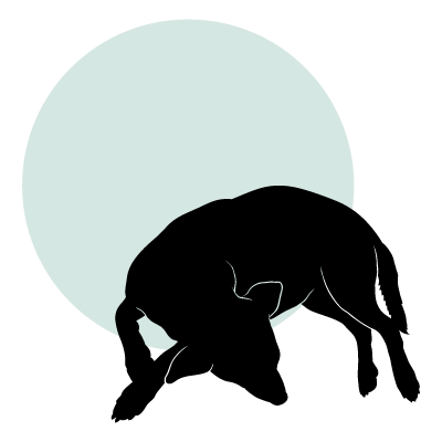 400x400 Kirby Dog Services