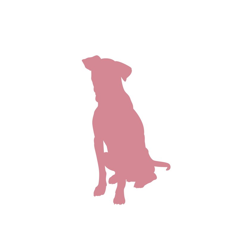 800x800 Top Dog Sf We'Ve Gone To The Dogs