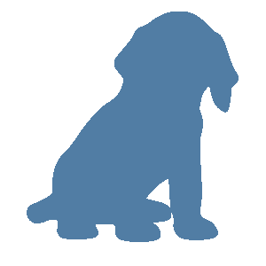 300x300 Cd Dog Training Professional And Fun Dog Training In Wymondham