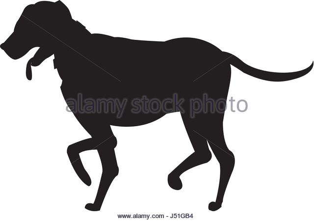 640x450 Dog Walking Sign Stock Photos Amp Dog Walking Sign Stock Images