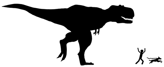 570x235 Dog Walking In And Around Montreal