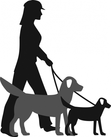 391x480 Emma4walkies Dog Walker, Dog Sitter, Wellington Taunton Bridgwater