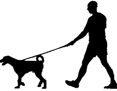 400x313 Paws Down Home