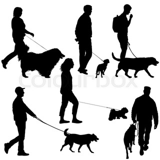 320x320 Rottweiler And Master Walk With A Leash Stock Photo Colourbox