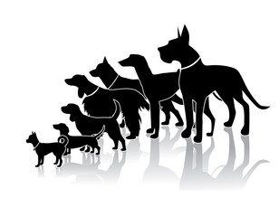 308x240 Standing Dogs Icon Design. Dog Silhouette Symbol For Pet Business