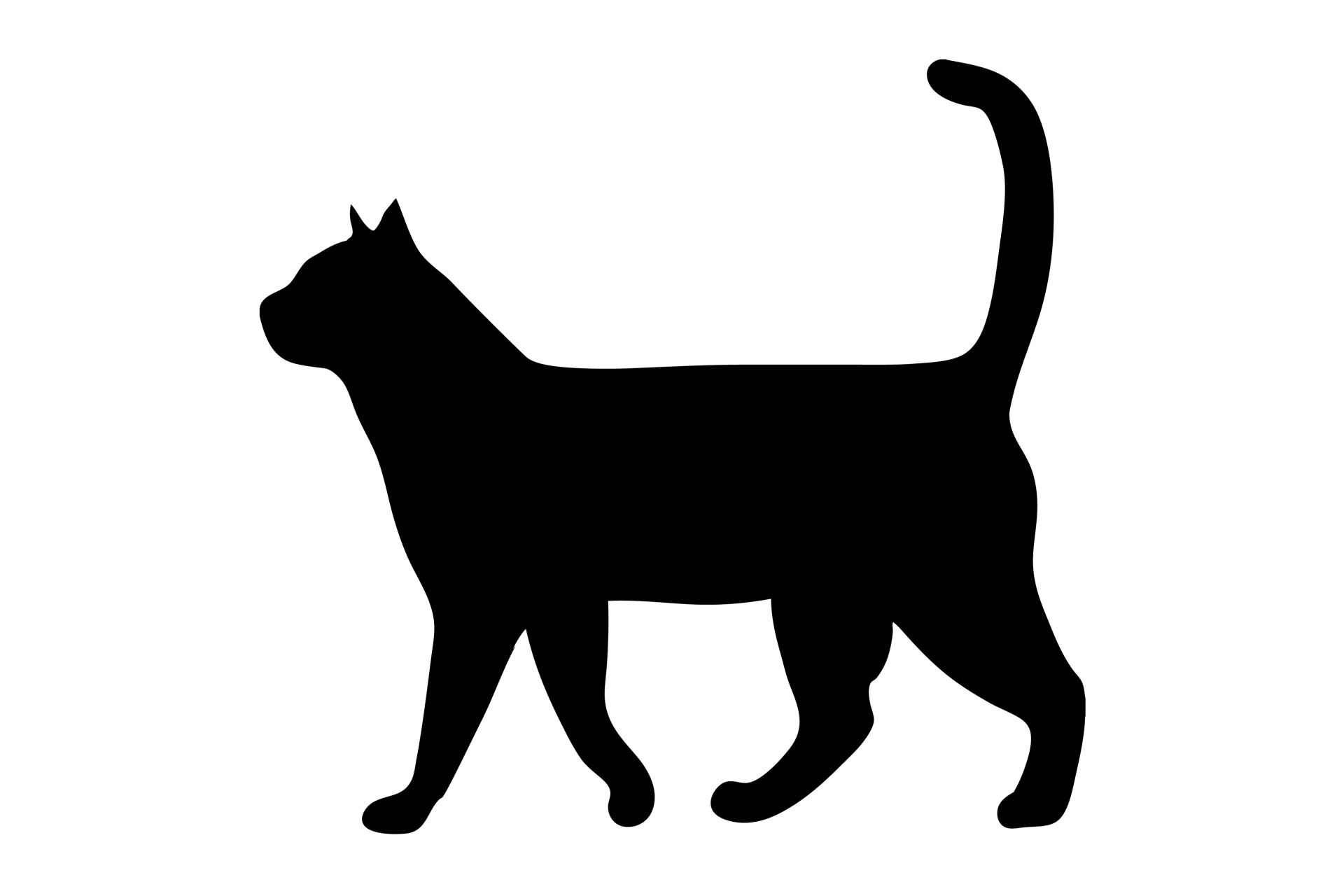 1920x1280 Cat Clipart Walking