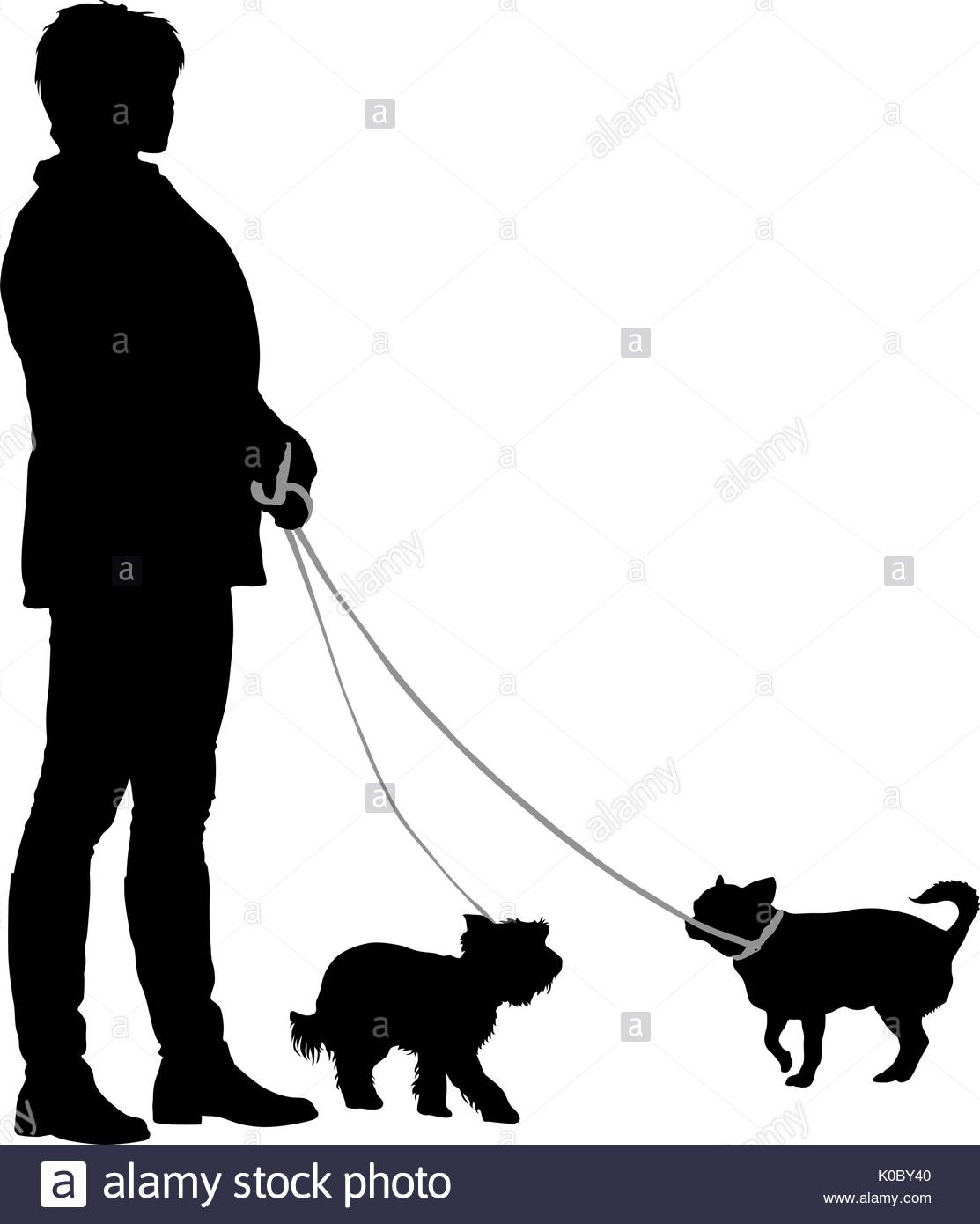 1113x1390 Dog Training Woman Stock Vector Images