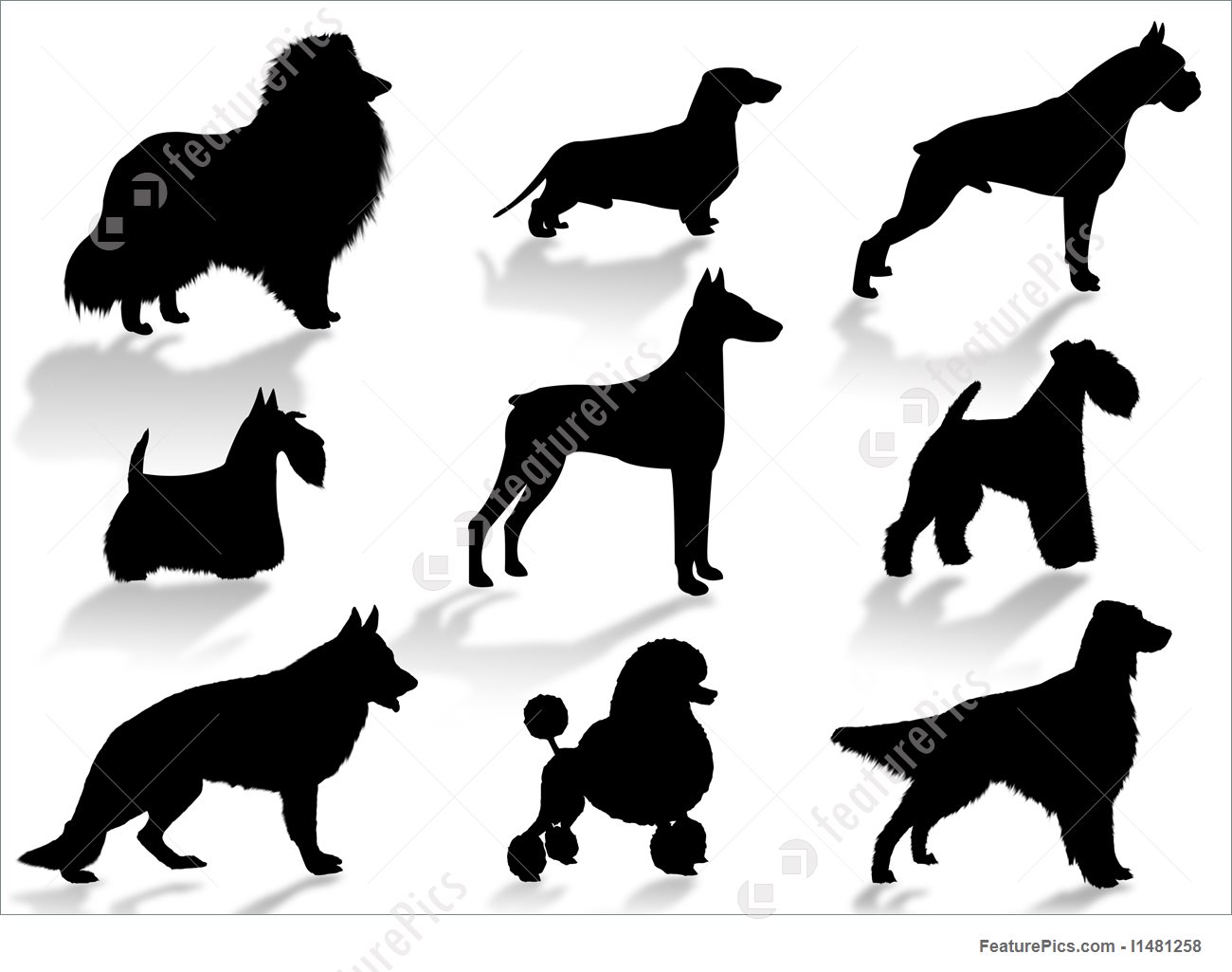 1300x1025 Dogs Breeds Silhouette Illustration