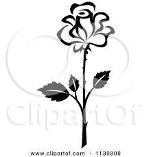 220x229 How To Draw A Dogwood Flower Dogwood Flowers, Flower And Drawings
