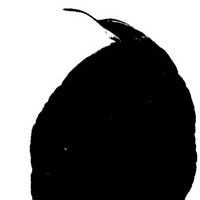 200x200 Learning To Identify Trees Let These Leaf Silhouettes Make It