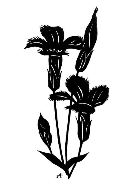 462x640 Sault Area Arts Council