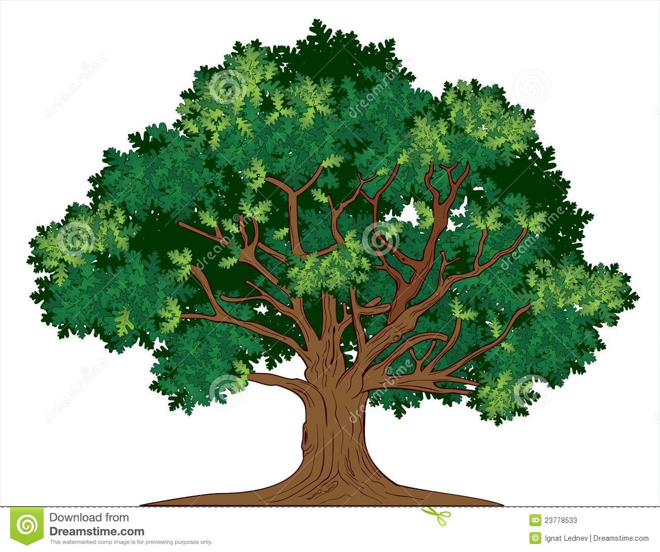 1300x1086 Images Of Tree 101 Clip Art