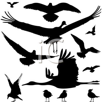 350x350 Clip Art Water Bird Birds Clipart