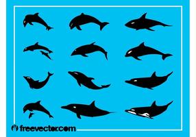 286x200 Dolphin Free Vector Art