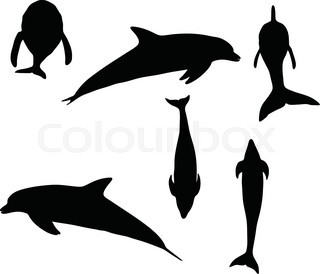 320x274 Dolphin Silhouette Stock Vector Colourbox