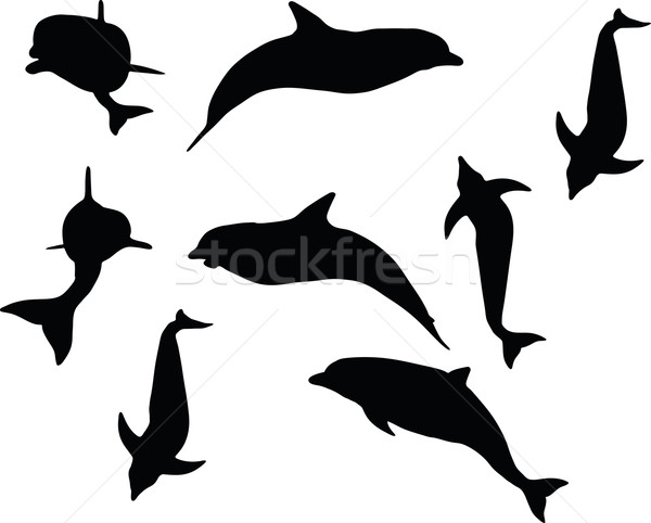 600x482 Dolphin Silhouette Isolated Vector Illustration Benguhan Ipekoz