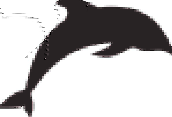 595x405 Dolphin, Hopping, Silhouette, Outline, Jumping, Fins, Marine