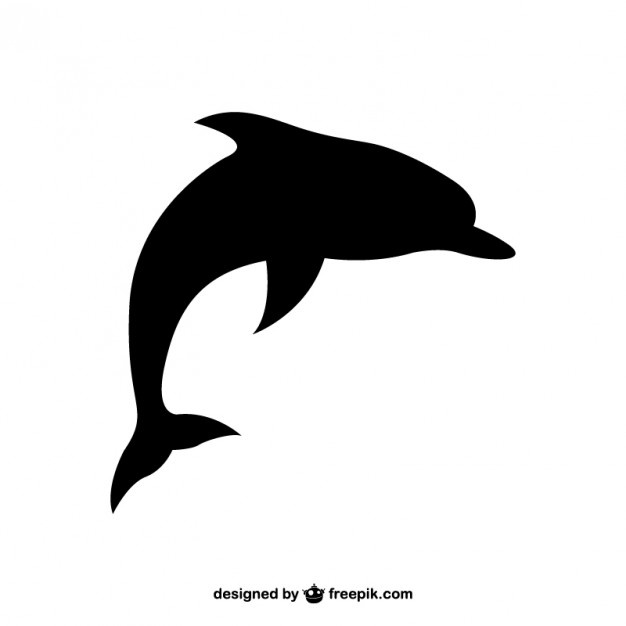 626x626 Dolphin Clipart Vector Free Download