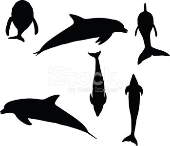 349x299 Dolphin Silhouette Premium Clipart