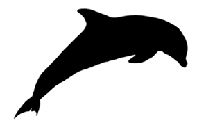 284x177 Resultado De Imagen De Dolphin Silhouette Reference Images