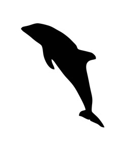 245x300 Dolphin Silhouette Royalty Free Photos And Vectors