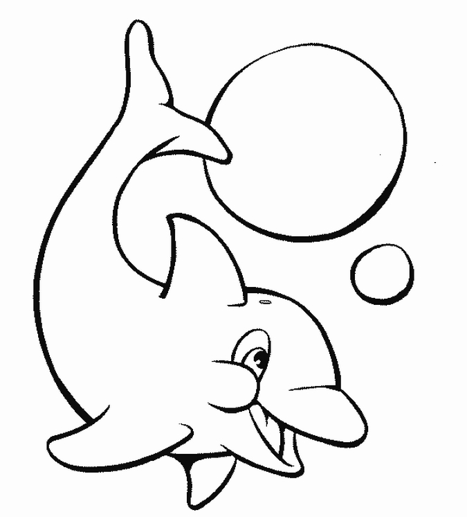 675x746 Dolphin Clipart Coloring Page 3233162
