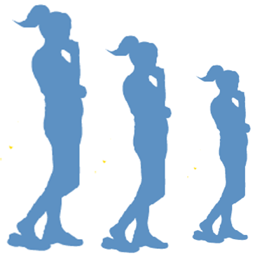 374x368 The S.e.n.s.e Programme