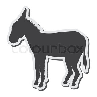 320x320 Donkey Breeds Icon Set. Animal Farming. Flat Design. Vector