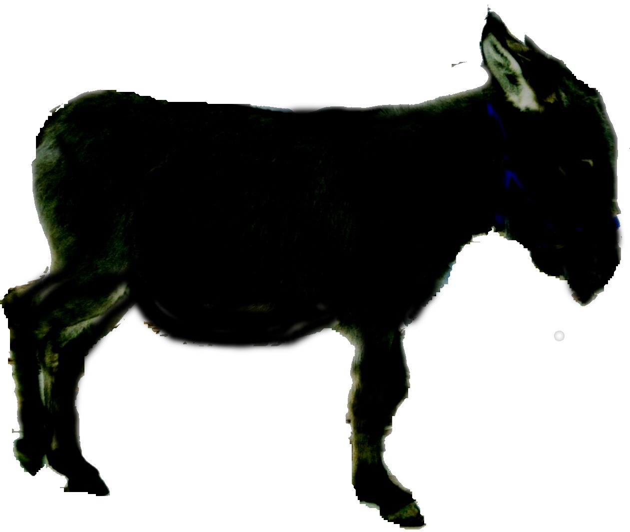 1261x1065 Case Story