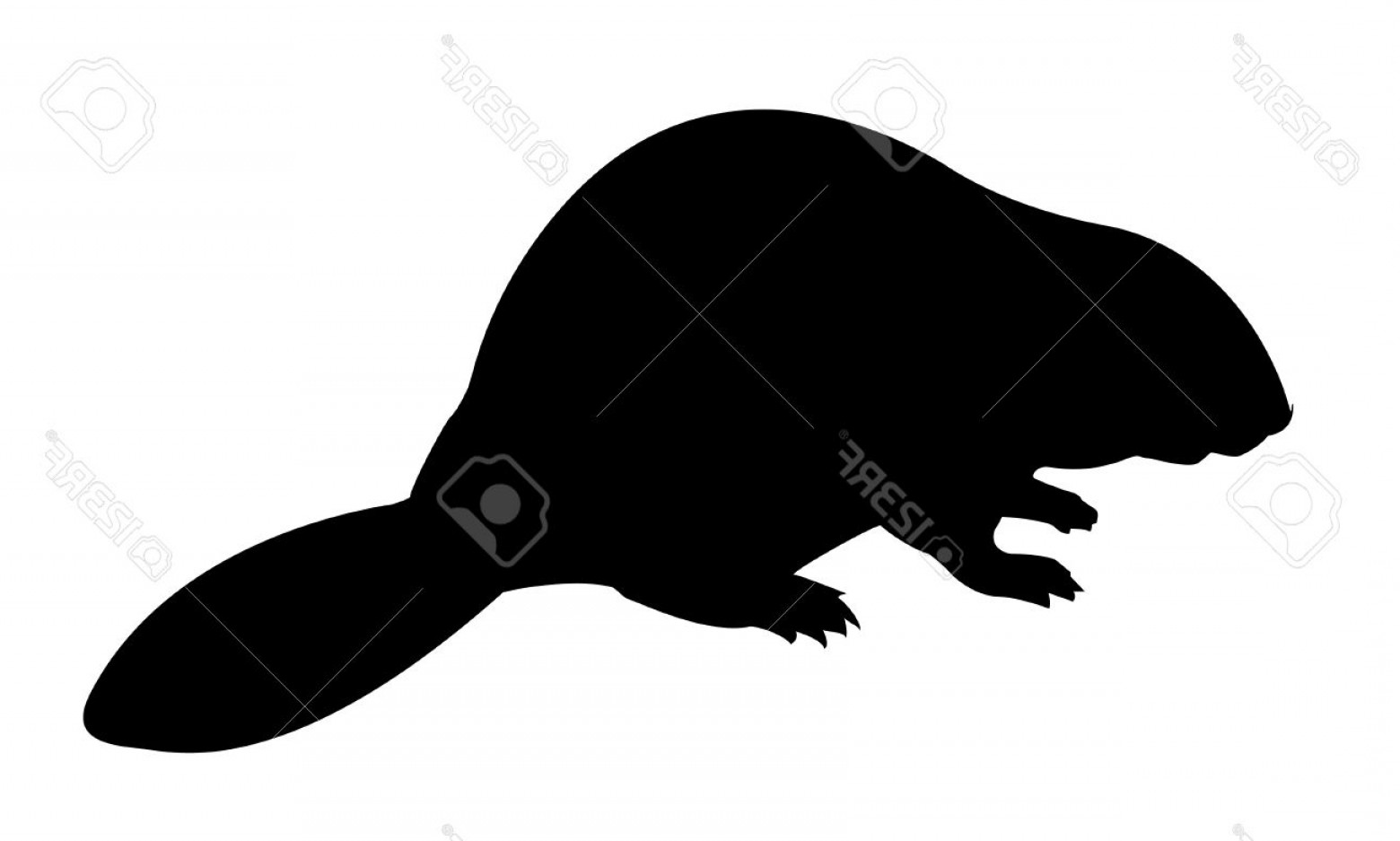 1560x937 Vector Silhouette Beaver Createmepink