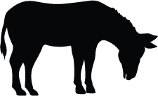 225x138 Donkey Silhouette Silhouette Of Donkey