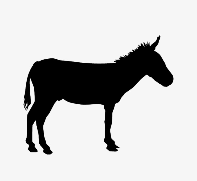 650x595 Realistic Black Donkey Silhouette Vector Material, Donkey, Black