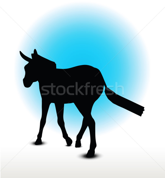 554x600 Donkey Isolated Stock Photos, Stock Images And Vectors Stockfresh