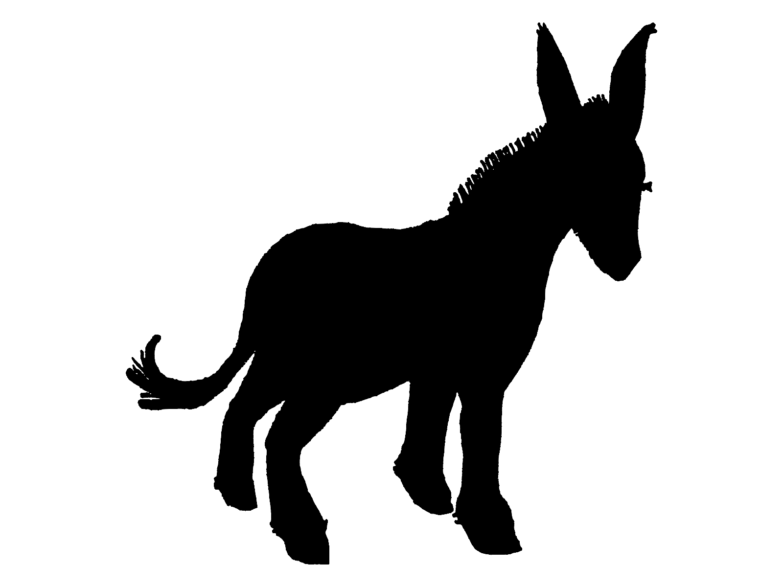 1600x1200 Donkey Silhouette Vector Lucy Luton