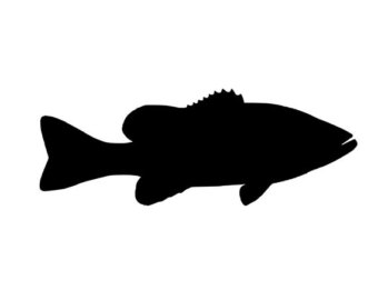 340x270 Bass Silhouette Clipart