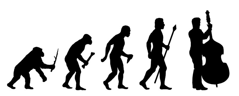 800x321 Double Bass Evolution Silhouette Photographic Prints By