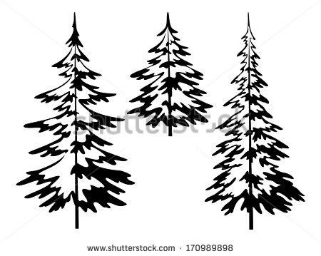 450x359 Evergreen Silhouette Simple Living Tree In The World Places