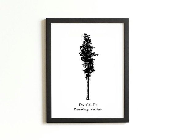 570x456 Douglas Fir Tree Silhouette Print Rustic Wall Art By 1840atelier
