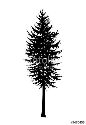 345x500 Eastern White Pine Tree Silhouette