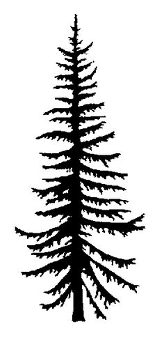 236x498 Evergreen Silhouette Rocky Mountain Douglas Fir