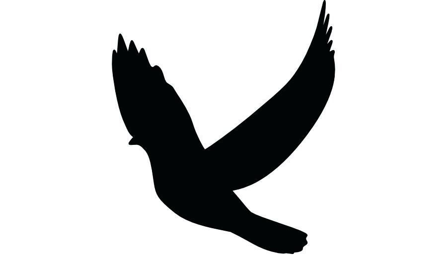 900x520 Dove Silhouette Dove Silhouette Clip Art