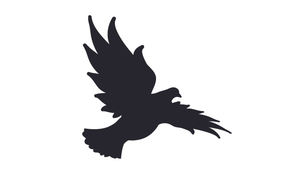 580x386 Silhouette Of Dove