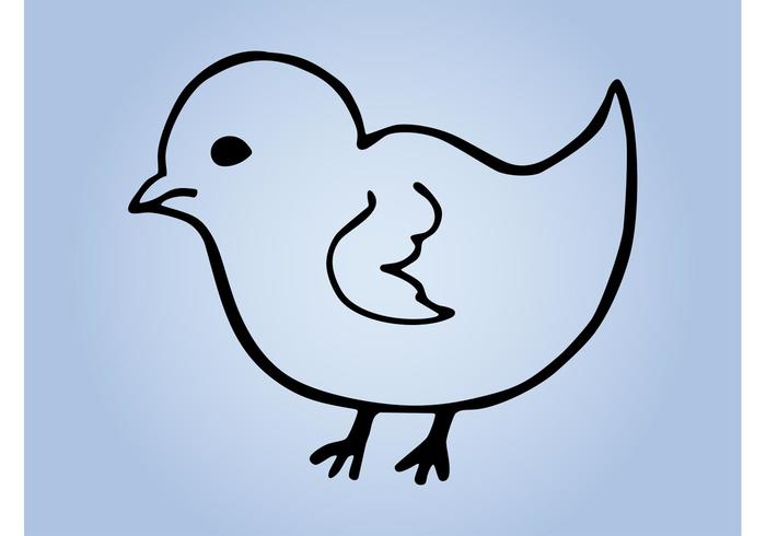 700x490 Bird Outlines