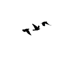 255x198 Image Result For Bird Silhouette Tattoo Wrist Tattoos