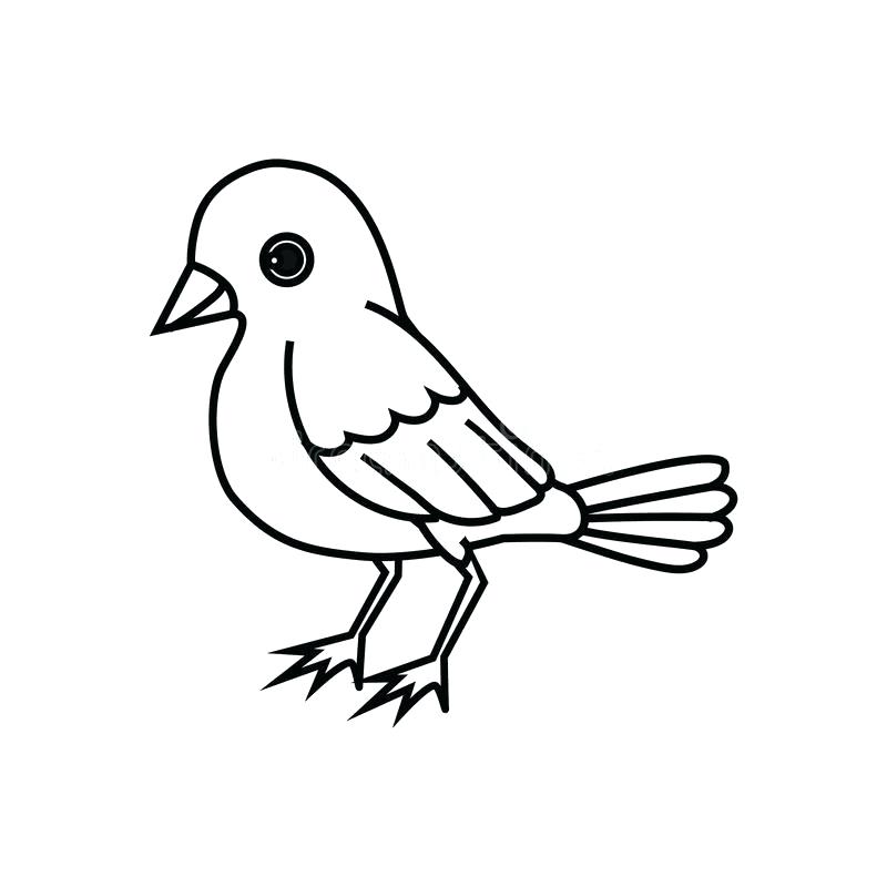 800x800 Bird Silhouette Free Vector Download Free Vector For Bird