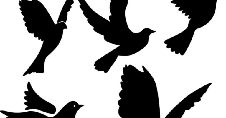 767x403 Little Bird Silhouette Tattoo