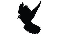 236x151 Flying Eagle Silhouette Vector
