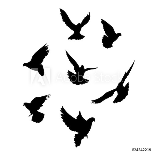 500x500 Seven Dove Silhouette