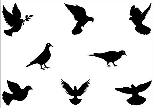 502x351 Dove Stencil Silhouette Vector